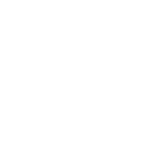 logo-iit